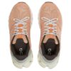 Cloudflyer 4 „Peach Aloe”