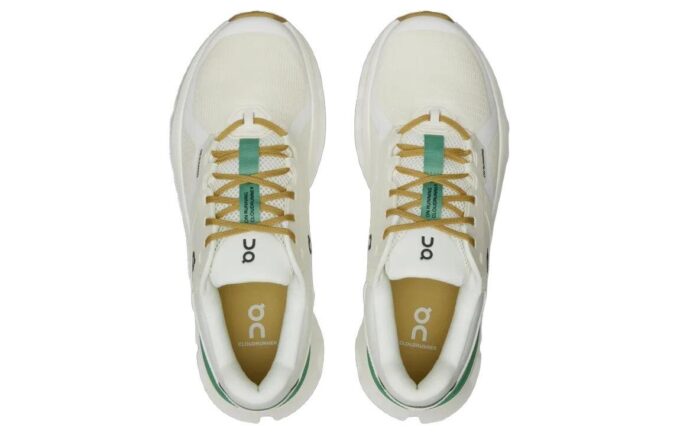 Cloudrunner 2 „Undyed Green”
