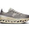 Męskie Cloudsurfer Max