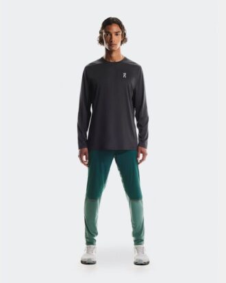 Męskie Weather Pants